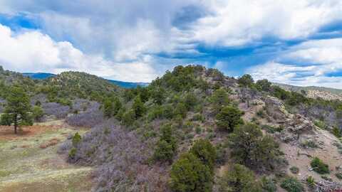 TBD Wild Turkey Canyon, Durango, CO 81301