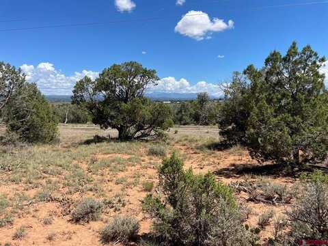 TBD Road 24.3 Lot 4, Cortez, CO 81321