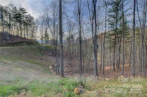 33 Bent Branch Lane, Asheville, NC 28804
