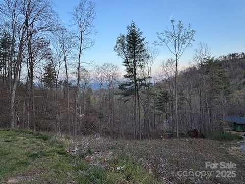 33 Bent Branch Lane, Asheville, NC 28804
