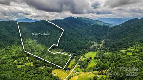 99999 Dark Cove Road, Leicester, NC 28748