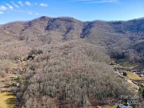 99999 Dark Cove Road, Leicester, NC 28748