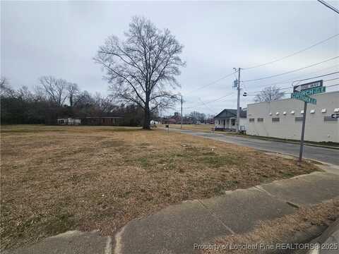 206 E Pettigrew Street, Wilson, NC 27893