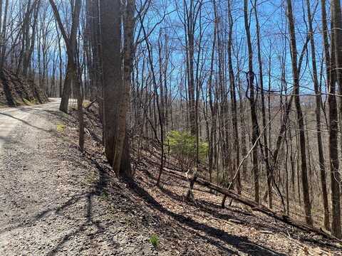 Cardinal Lane, Franklin, NC 28734