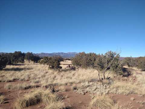 Forest Service RD 422, Bernardo, NM 87006