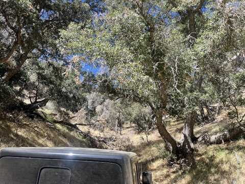 Tehachapi Mountains Area, Tehachapi, CA 93561