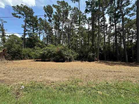 1600 Norma Dr, Denham Springs, LA 70726
