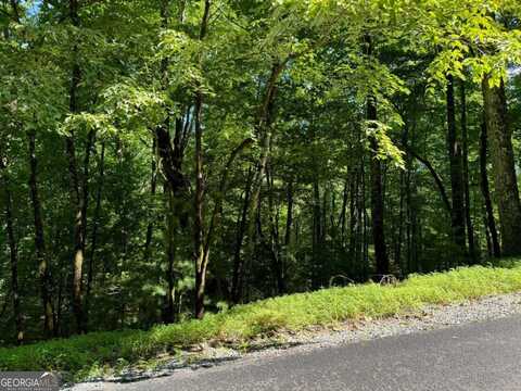 C119c120 South Lake, Ellijay, GA 30540