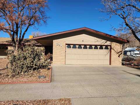 291 E 2nd Street, Delta, CO 81416