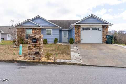 447 Cornus Avenue, Sevierville, TN 37862