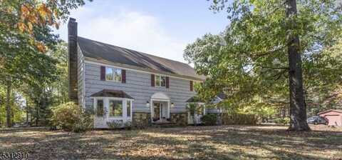 3 Flintlock Rd, Readington, NJ 08822