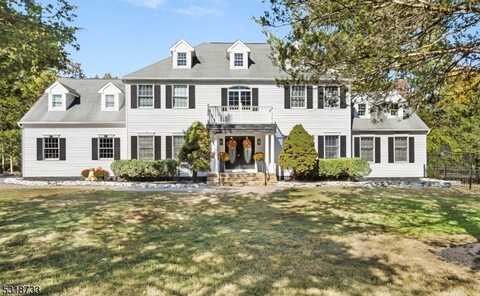 3 Heirloom Rd, Readington, NJ 08822