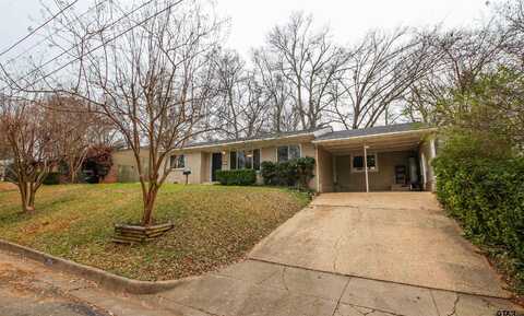 1203 Elizabeth Dr, Tyler, TX 75701