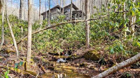 63 Speckled Feather Pass, Sapphire, NC 28774