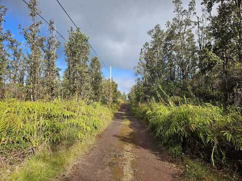 ROAD 4 (IO KEA), MOUNTAIN VIEW, HI 96760