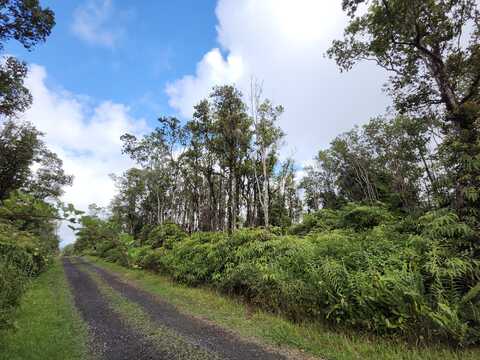 ALA NAUALANI, VOLCANO, HI 96785