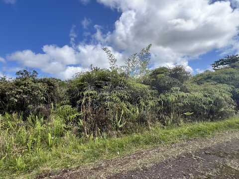 ROAD 2 (AO), Mountain View, HI 96760