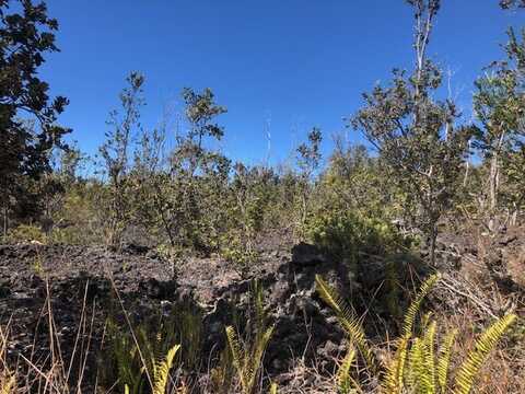 OHIA DR, Ocean View, HI 96737