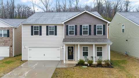 541 Robotic Lane, Knoxville, TN 37920