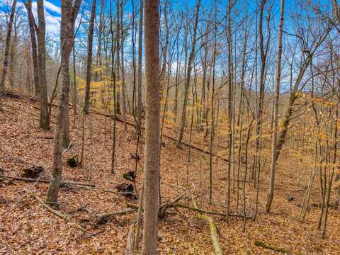 Sandy Ridge Road, Dandridge, TN 37725