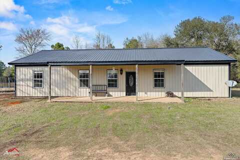 13159 CR 183D, Overton, TX 75684