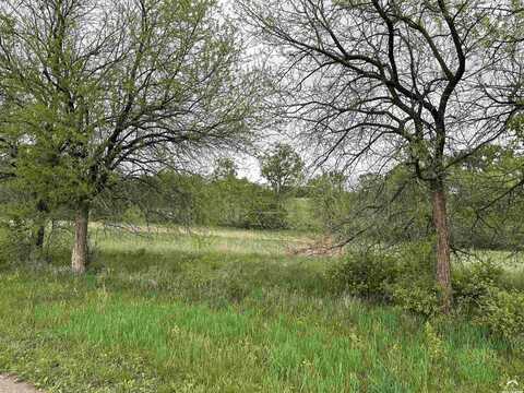 37 Acres M/L E 100 Road, Lecompton, KS 66050