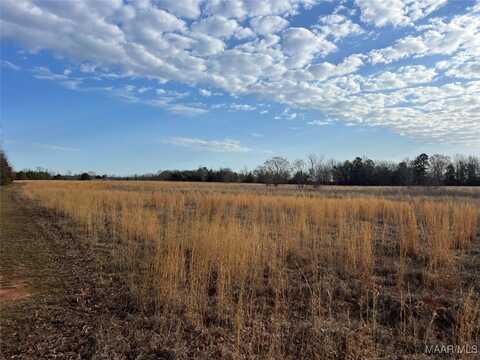Dewberry Trail, Wetumpka, AL 36093