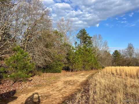 00 Dewberry Trail, Wetumpka, AL 36093