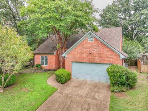 8690 CHRIS SUZANNE, Memphis, TN 38018