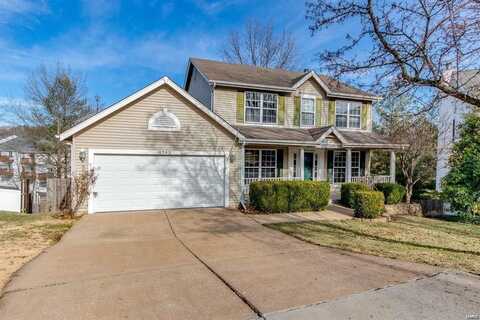 1762 Spring View Terrace Court, Ballwin, MO 63021