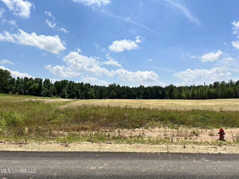 20 Hazelwood Drive, Lake Cormorant, MS 38641