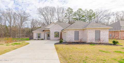 222 Chartleigh Circle, Canton, MS 39046