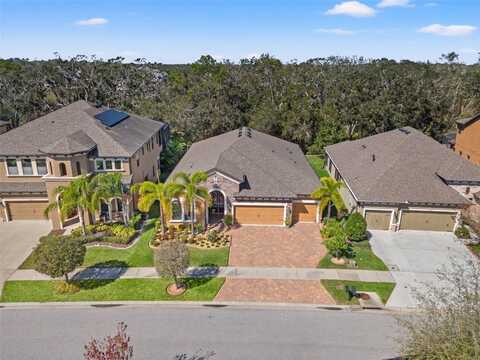 13711 MOONSTONE CANYON DRIVE, RIVERVIEW, FL 33579