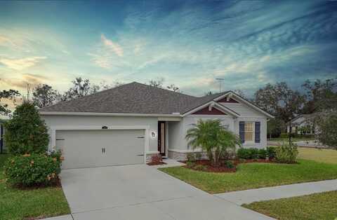 11501 CEDAR VALLEY DRIVE, RIVERVIEW, FL 33569