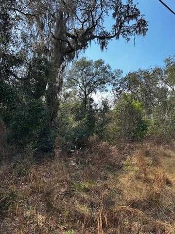 0 CYPRESS ROAD, LOT 12, OCALA, FL 34472