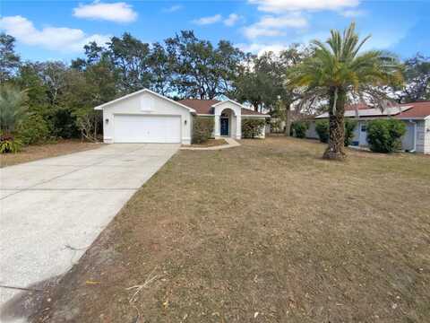 8103 RHANBUOY ROAD, SPRING HILL, FL 34606