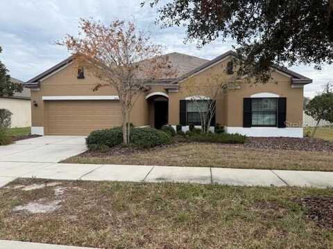 2827 SHETLAND RIDGE DRIVE, VALRICO, FL 33596