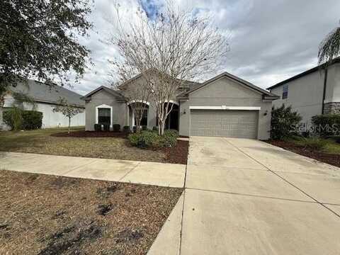 2916 SHETLAND RIDGE DRIVE, VALRICO, FL 33596