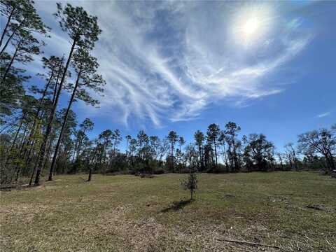 Tbd NE 127TH COURT, WILLISTON, FL 32696