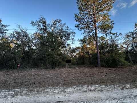 NE 155TH COURT, WILLISTON, FL 32696