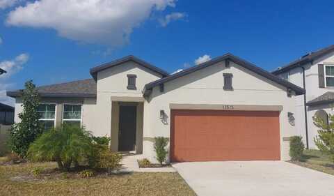 13515 PALMERA VISTA DRIVE, RIVERVIEW, FL 33579