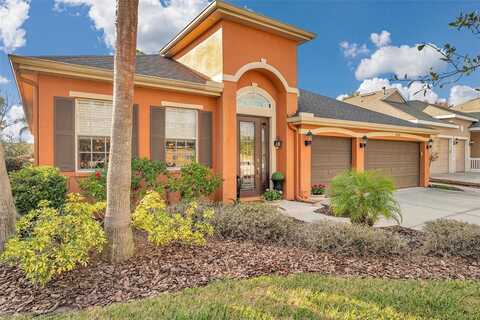 20036 BLUFF OAK BOULEVARD, TAMPA, FL 33647