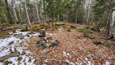 Lot 007 Old County Road, Mariaville, ME 04605
