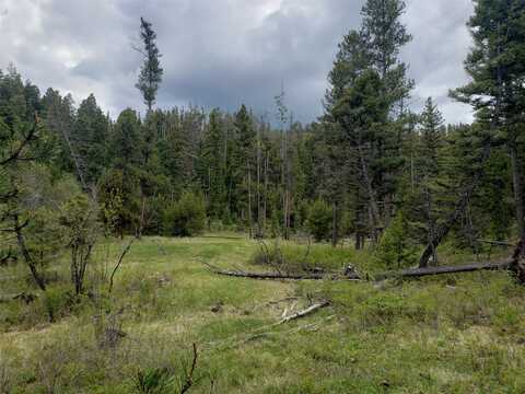 Lot 82 Chimney Lakes Road, Helmville, MT 59843