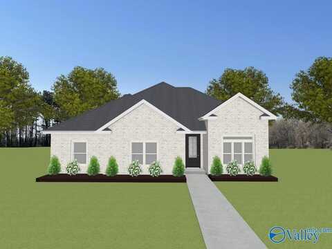 70 Lot Narayan Street, Madison, AL 35756