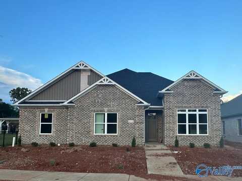 70 Lot Narayan Street, Madison, AL 35756