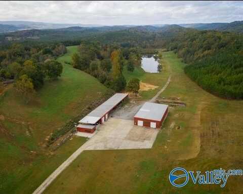 1215 County Road 610, Fort Payne, AL 35968