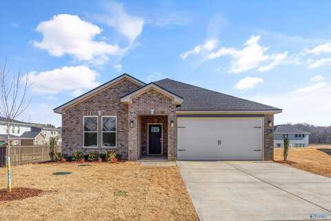 203 Sunhill Court, Harvest, AL 35749