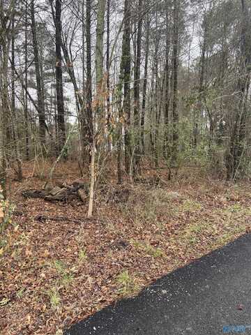 .3+/- Acres Bridge Point Road, Southside, AL 35907