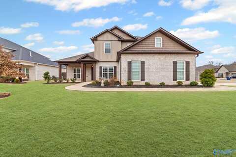 113 Pebblestream Drive, Madison, AL 35756